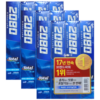 2080 시그니처 토탈블루 치약 오리지널 민트, 120g, 12개