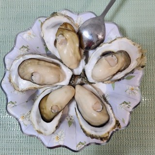 홍지수산 삼배체굴