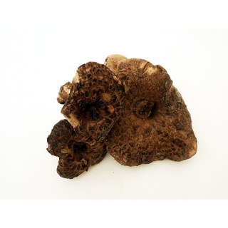 며느리약초 자연산 냉동 능이버섯 (특품) 1kg, 1개