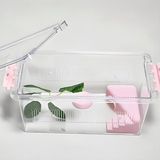 조이클린케이지 중형 사육통 달팽이 도마뱀 크랩 투명 사육장, 1개, 조이클린 중형 핑크