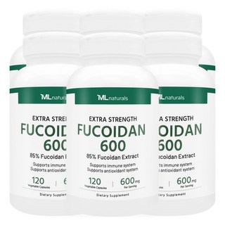 [미국빠른직구] 신제품 마이라이프 내추럴스 후코이단 600mg, 120정, 6개