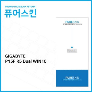 기가바이트 키스킨 P15F 판타소스
