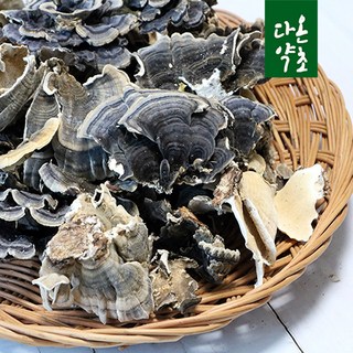 다온약초 국산 운지버섯 구름버섯, 1개, 300g