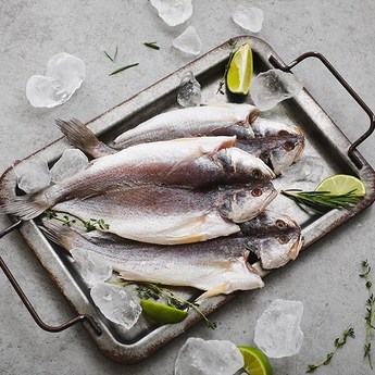 [자연맛남] 밥도둑 반건조 대 민어조기 15미(2.1kg/개별포장)-추천-상품