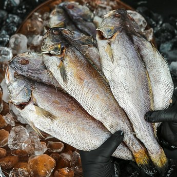 마켓프리 반건조 민어 대왕 4미 반건조생선 반건조안주-추천-상품