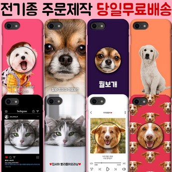 갤럭시 케이스, 데이터 이전 기능 비교 분석: 사진, 동영상, 음악 옮기기 최적의 선택은? 4 갤럭시 케이스: 사진, 동영상, 음악 옮기기-추천-상품