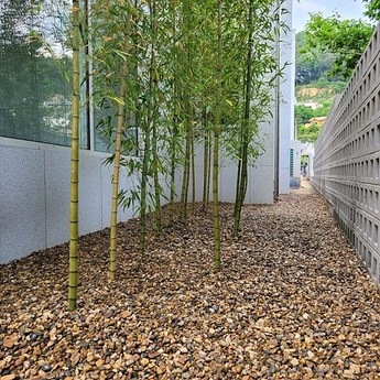 2024 조약돌75 추천 제품 TOP 7-추천-상품