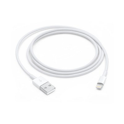  Apple 정품 Lightning-USB 충전 케이블, Lightning, USB, 1m 