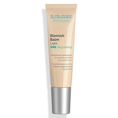 닥터슈라멕 오리지널 슈라멕 블레미쉬 밤 BB크림 15ml, 라이트, 1개_찰떡같이 맛있는 슈라멕비비로 달콤한 휴식을 챙기세요