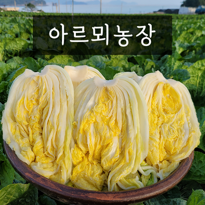 해남 절임배추 20kg 절인배추, 12월 수령 (수령희망일을 필수추가정보에 입력필수), 1개_신선한 맛 가득