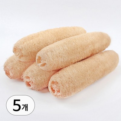 5개 세트 25cm 천연 루파 수세미 주방 설거지 잘라쓰는 진짜 자연 식물 R99571A, 1개입_자연 그대로