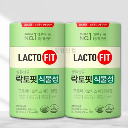 [리뉴얼 신제품] 이좋상판 종근당 건강 락토핏 식물성 그린 생유산균 60포2통