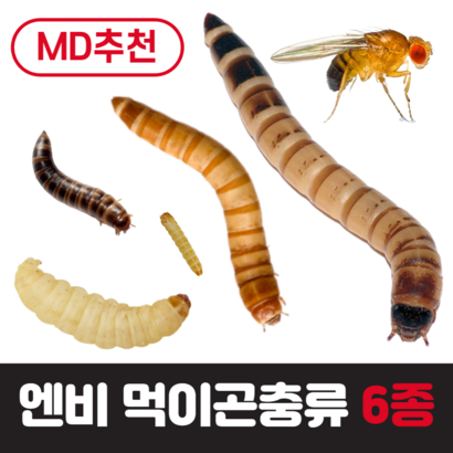 [특가상품] 엔비 먹이곤충류