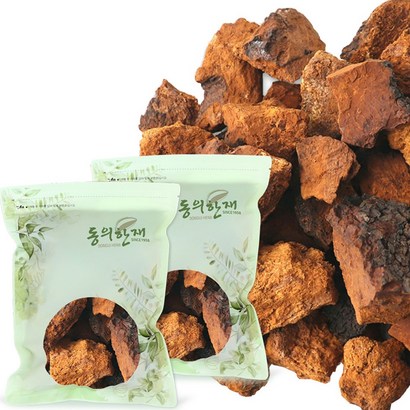 동의한재 최상품 시베리아 러시아 차가버섯, 500g, 2개