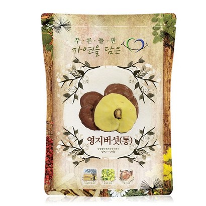 푸른들판 국내산 영지버섯