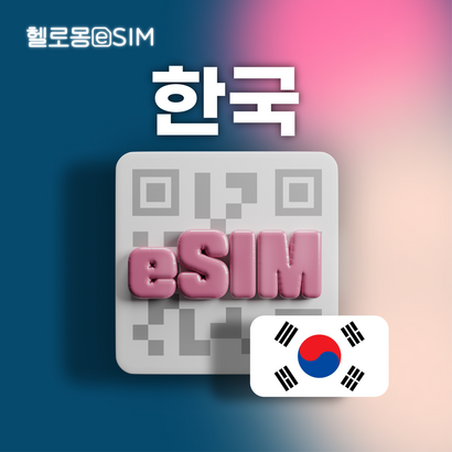 한국 eSIM SKT 데이터 이심 - USIM칩 리뷰후기