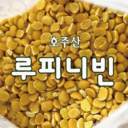 루피니빈 콩 루피니콩 주산   1개 - 렌틸콩 리뷰후기