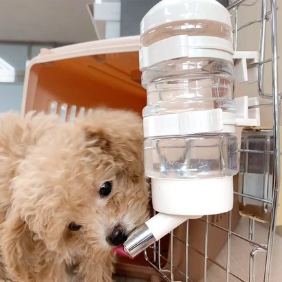 강아지 고양이 이동장 켄넬 걸이형 튼튼한 행복켄넬 물병 물통 식수대 급수기