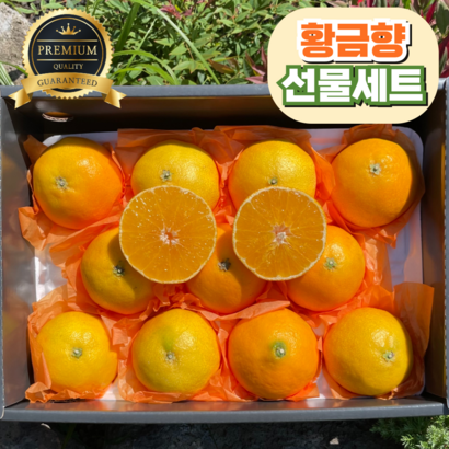 [프리미엄] 선물세트 고당도 황금향 산지직송, 1개, 2kg