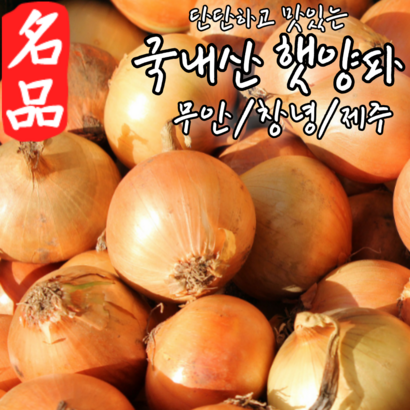 시골촌뜨기 국내산 단단한 아삭한 햇양파 리뷰후기
