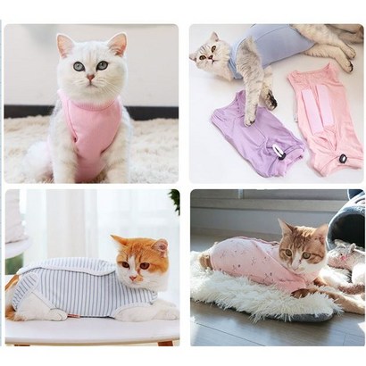 부투펫 고양이 환묘복 환자복 중성화수술 환견복 올인원 4가지종류