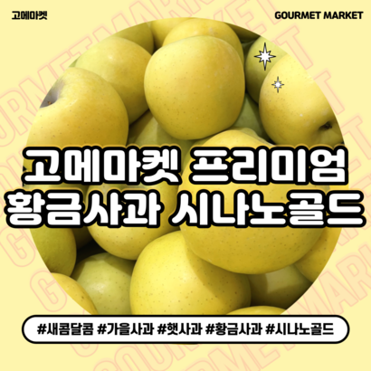 [고메마켓] 프리미엄 아삭상큼 황금사과 가을제철 시나노골드 사과 실중량 4  정품 꿀 사과