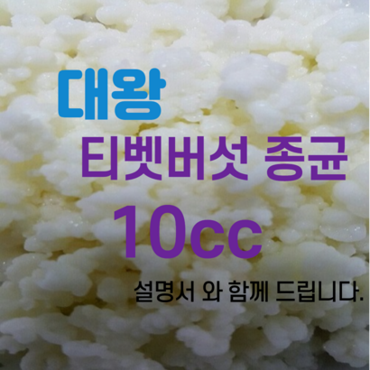은수네 티벳버섯