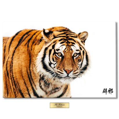 액운을 막아주는 풍수 그림 랑이 백 액자  아트 네임택