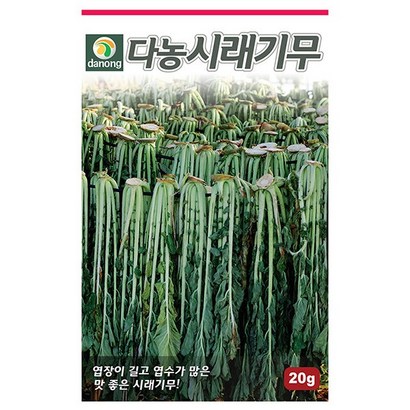 앉은뱅이 방울토마토 50립 - 씨 씨앗 방울토마토씨 방울토마토씨앗 채소씨 채소씨앗