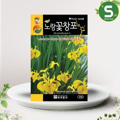 솔림텃밭몰 노랑꽃창포씨앗 30립 꽃창포 꽃씨앗 꽃씨 야생화