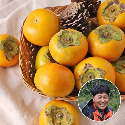 [맛딜]진영단감 가정용[흠과] /중소과 61-80과내외