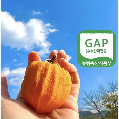 [GAP 인증] 자연건조 영동 대봉시 곶감 리뷰후기