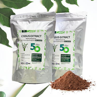 에넬 시서스 가루 50배농축 250g+250g CISSUS EXTRACT 100%, 250g, 2개