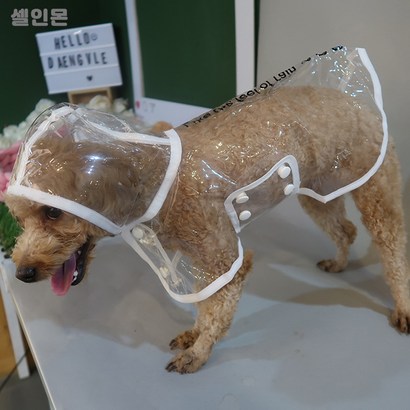 셀인몬 슬개골 부담없는 강아지 우비 레인코트 반려동물 패션용품 우의 소형견 중형견 산책 방수 올인원 리뷰후기