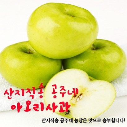 [ 공주네 산지직송] 새벽이슬맺힌 안동꿀사과 특가판매 행사중 리뷰후기