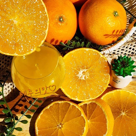 [맛없음반품] 새콤달콤 천혜향 산지직송 선물용 가정용, 가정용포장, 천혜향 못난이 10kg