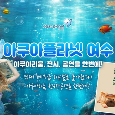 [여수] 아쿠아리움 입장권/종합권 (당일사용 불가/구매 익일 사용가능)