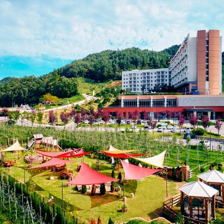 [경상북도] 소노벨청송 ( 청송대명리조트 / 솔샘온천 / 주왕산 / 소노호텔&리조트 )