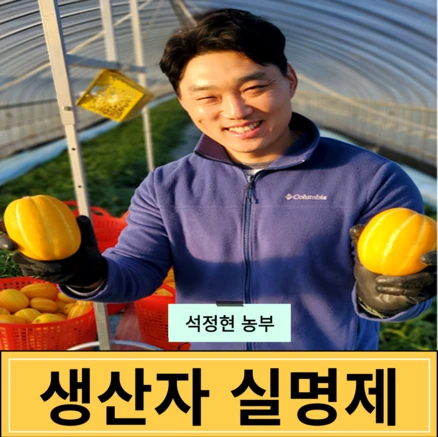 [생산자직송] 고당도 최상급 성주 참외 3kg 5kg 10kg, 1세트, [가정용] 로얄과 2kg