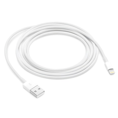 Apple 정품 Lightning-USB 충전 케이블, Lightning, USB, 2m-추천-상품