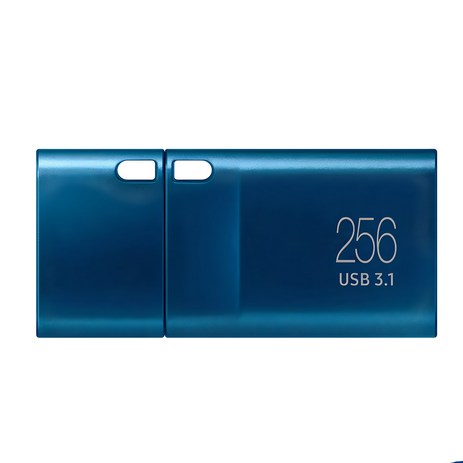 삼성전자 Flash Drive Type-C MUF-256DA / APC USB 메모리, 256GB-추천-상품