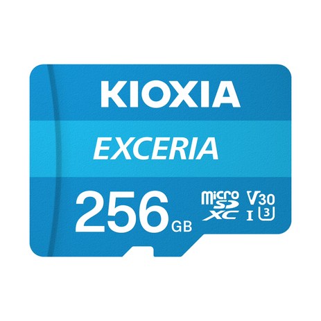 키오시아 EXCERIA 마이크로 메모리 카드 홈캠 블랙박스 CCTV SD LMEX1L256GG2, 256GB, 1개-추천-상품