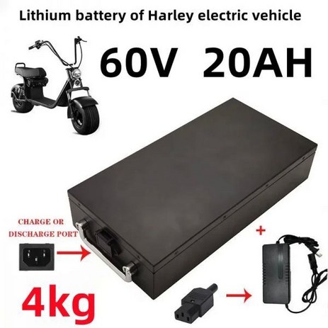 전기 스쿠터 250W 1500W 오토바이 삼륜차 자전거용 방수 리튬 배터리 672V 충전기 60V20ah 60ah, 1개-추천-상품