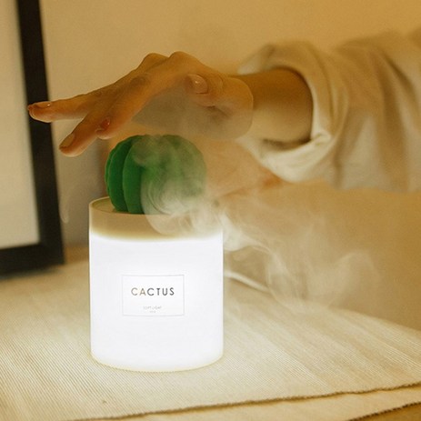 일루오슈-선인장-무드등-USB-가습기-선인장가습기-추천-상품