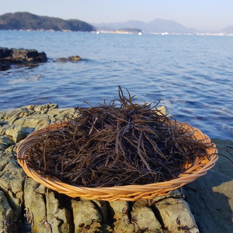 국내산 생톳 자연산 톳 톳나물 무침 해초, 1개, 1kg-추천-상품