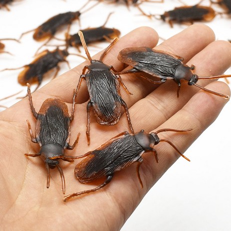 바퀴벌레모형 가짜 벌레 곤충 모형 파티 소품-추천-상품