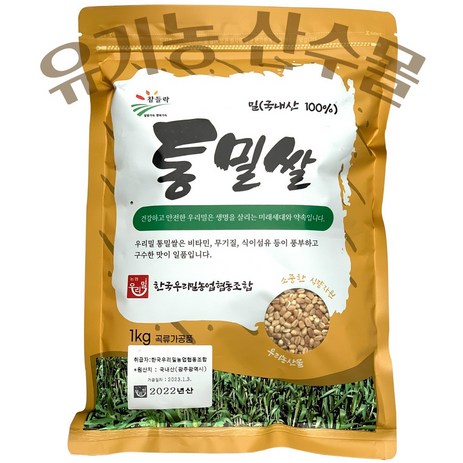 우리밀 통밀쌀 (1kgx5개) 23년산, 1kg, 5개-추천-상품