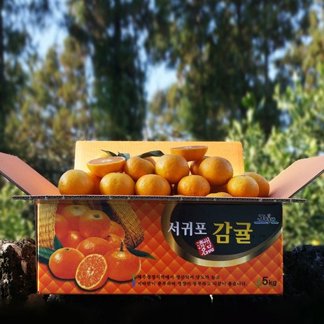 귤담원 제주 제철 감귤, 03.감귤 3kg 로얄과(S/M), 1박스-추천-상품