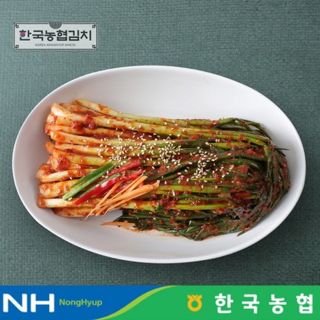 [한국농협김치] 전라도 순천 남도 파김치 1kg, 1개-추천-상품