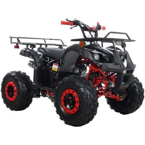 X PRO 125cc ATV 자동변속기 포함 역방향 Big 19 18 타이어 스파이더블랙 팩토리패키지 Q1049621, 1개-추천-상품